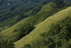 Private Transfer San José Airport to/From Monteverde