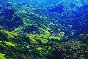 Private Transfer San José Airport to/From Monteverde