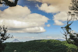 Private Transfer San José Airport to/From Monteverde