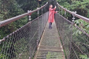 Hængende broer Mistico Park + La Fortuna-vandfaldet