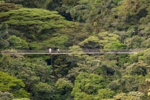 Pontes suspensas Parque Mistico + Cachoeira La Fortuna