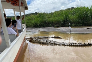 Puerto Caldera: tour privato alla scoperta delle scimmie e della fauna selvatica con pranzo