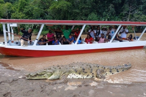 Puerto Caldera: tour privato alla scoperta delle scimmie e della fauna selvatica con pranzo