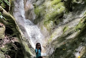 Puerto Jiménez: Corcovado La Leona e Cascata Mata Palo con pranzo tipico