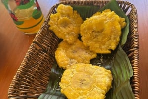 Puerto Jiménez: Corcovado La Leona e Cascata Mata Palo con pranzo tipico