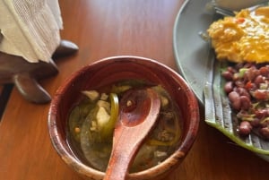 Puerto Jiménez: Corcovado La Leona e Cascata Mata Palo con pranzo tipico