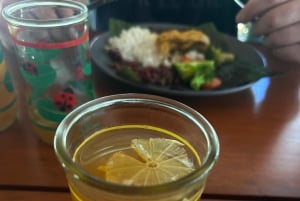 Puerto Jiménez: Corcovado La Leona e Cascata Mata Palo con pranzo tipico