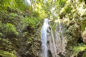 Puerto Jiménez: Corcovado La Leona e Cascata Mata Palo con pranzo tipico