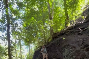 Puerto Jiménez: Corcovado La Leona e Cascata Mata Palo con pranzo tipico