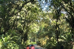 Puerto Jiménez: Corcovado La Leona e Cascata Mata Palo con pranzo tipico