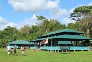 Puerto Jimenez: Corcovado nasjonalpark Sirena dagstur ALT INKLUDERT
