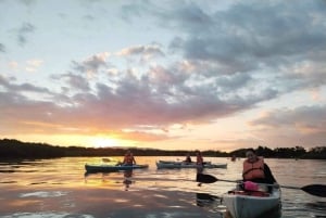 Puerto Jimenez : Aventure en kayak dans le Golfo Dulce + Bioluminescence