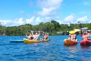 Puerto Jimenez : Aventure en kayak dans le Golfo Dulce + Bioluminescence
