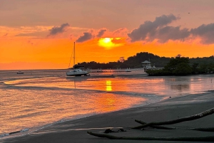 Puerto Jimenez : Aventure en kayak dans le Golfo Dulce + Bioluminescence
