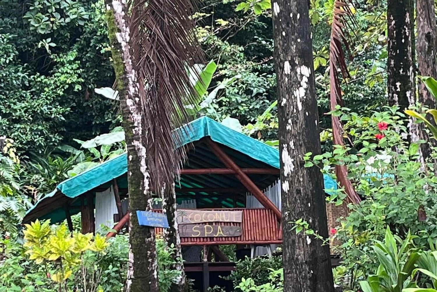 Puerto Jiménez: Tour Privado La Leona Overnight y Corcovado