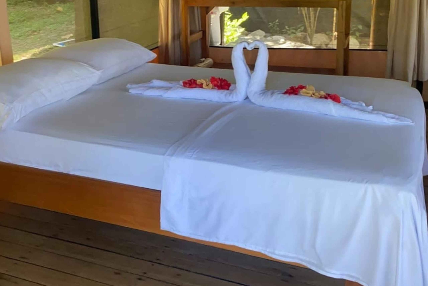 Puerto Jiménez: Tour Privado La Leona Overnight y Corcovado