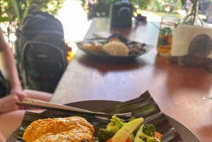 Puerto Jiménez: Tour Privado La Leona Overnight y Corcovado