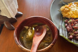 Puerto Jiménez: Tour Privado La Leona Overnight y Corcovado