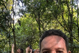 Puerto Jiménez: Exploração da fauna em Matapalo + Guia especialista e almoço