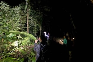 Puerto Jimenez: Nighttime Wildlife Hike with a Local Guide