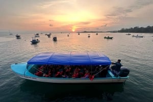 Puerto Jiménez: tour privado de 1 dia a Sirena no Corcovado