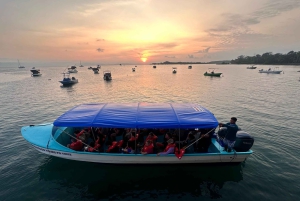 Puerto Jiménez: yksityinen päiväretki Sirenaan Corcovadossa