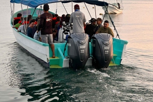 Puerto Jiménez: yksityinen päiväretki Sirenaan Corcovadossa