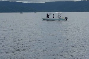Puerto Jiménez: Spot Dolphins and Whales in Golfo Dulce