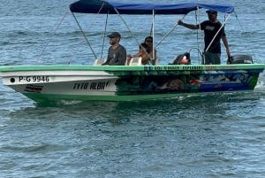 Puerto Jiménez: Spot Dolphins and Whales in Golfo Dulce
