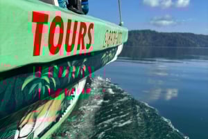 Puerto Jiménez: Spot Dolphins and Whales in Golfo Dulce