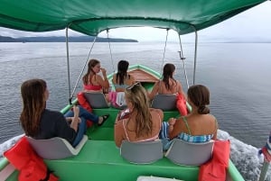 Puerto Jiménez: Spot Dolphins and Whales in Golfo Dulce