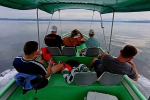 Puerto Jiménez: Spot Dolphins and Whales in Golfo Dulce