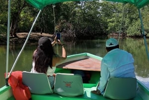 Puerto Jiménez: Spot Dolphins and Whales in Golfo Dulce
