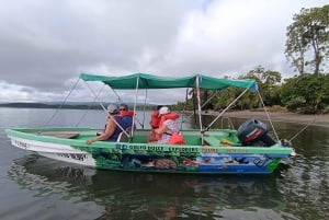 Puerto Jiménez: Spot Dolphins and Whales in Golfo Dulce