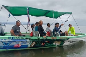 Puerto Jiménez: Spot Dolphins and Whales in Golfo Dulce