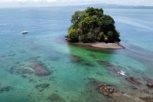 Puerto Jiménez: Spot Dolphins and Whales in Golfo Dulce