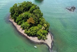Puerto Jiménez: Spot Dolphins and Whales in Golfo Dulce