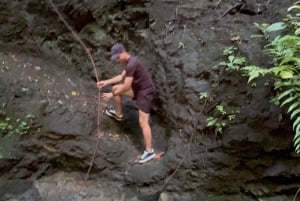 Puerto Jiménez: Vida Selvagem e Catarata Mata Palo com Almoço Típico.