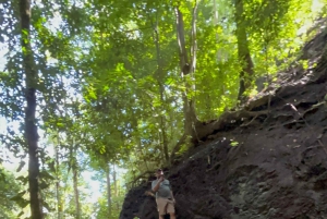 Puerto Jiménez: Vida Selvagem e Catarata Mata Palo com Almoço Típico.