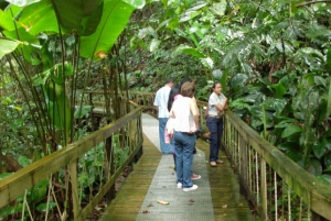 Puerto Limon: Veragua Rainforest & Boat on Tortuguero Canals
