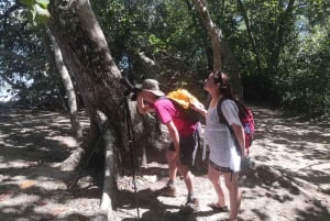 Puerto Limon: Cahuita National Park & Tortuguero Canal