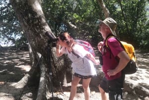 Puerto Limon: Cahuita National Park & Tortuguero Canal