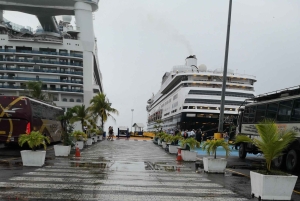 Puerto Limon: Cahuita National Park & Tortuguero Canal