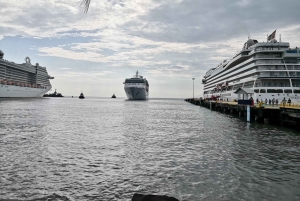 Puerto Limon: Cahuita National Park & Tortuguero Canal