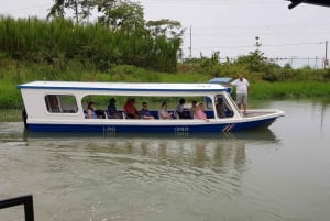 Puerto Limon : visite d'une demi-journée des canaux de Tortuguero et de Playa Bonita