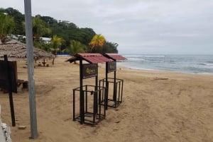 Puerto Limón: Tour de medio día por los Canales de Tortuguero y Playa Bonita