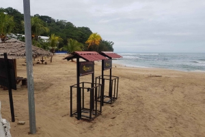 Puerto Limon: Half-Day Tortuguero Canals & Playa Bonita Tour