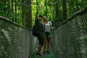 Puerto Limón: passeio de aventura na floresta tropical com Skywalk e tirolesa