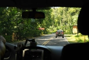 Puerto Limón: passeio de aventura na floresta tropical com Skywalk e tirolesa