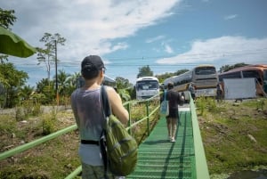 Puerto Limón: passeio de aventura na floresta tropical com Skywalk e tirolesa